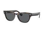 Occhiali da Sole Unisex Rayban 2201-Laramie 902/B1 size 54