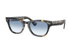 Occhiali da Sole Unisex Rayban 2201-Laramie 13323F size 54