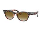 Occhiali da Sole Unisex Rayban 2201-Laramie 133451 size 54