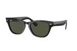 Occhiali da Sole Unisex Rayban 2201-Laramie 901/31 size 54