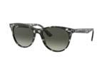 Occhiali da Sole Unisex Rayban 2185-WAYFARER-II 133371 size 55