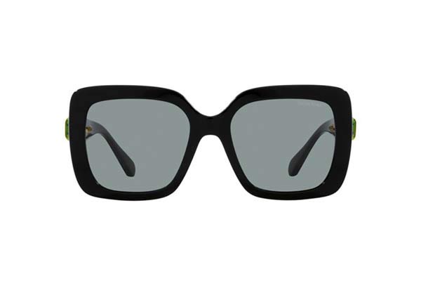 SWAROVSKI 6001