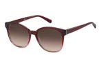Occhiali da Sole Donna TOMMY HILFIGER TH-1811S C9A HA size 55