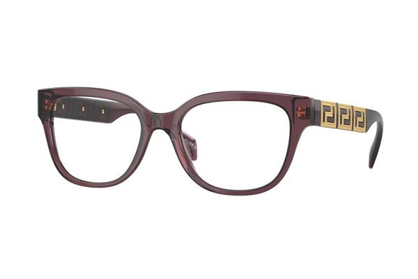 Occhiali da sole Versace 3338 5209