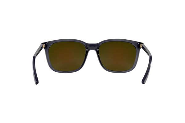 ARNETTE 4316 C ROLL Occhiali da Sole 