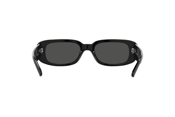 ARNETTE 4317 LITTY Occhiali da Sole 