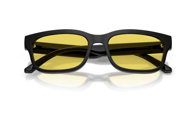 ARNETTE 4363 DEFYER Occhiali da Sole 