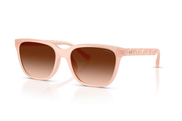 COACH 8429D CAE86 Occhiali da Sole 