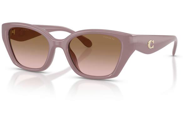 COACH 8434U CBY91 Occhiali da Sole 
