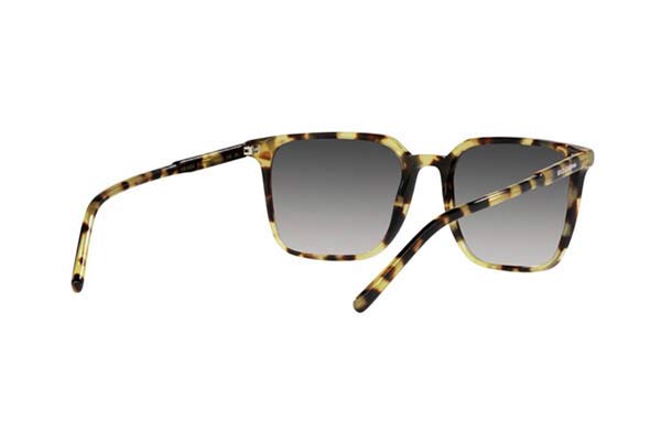 DOLCE GABBANA 4424 Occhiali da Sole 