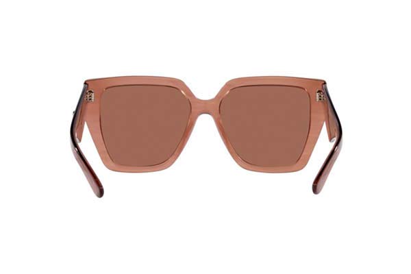 DOLCE GABBANA 4438 Occhiali da Sole 