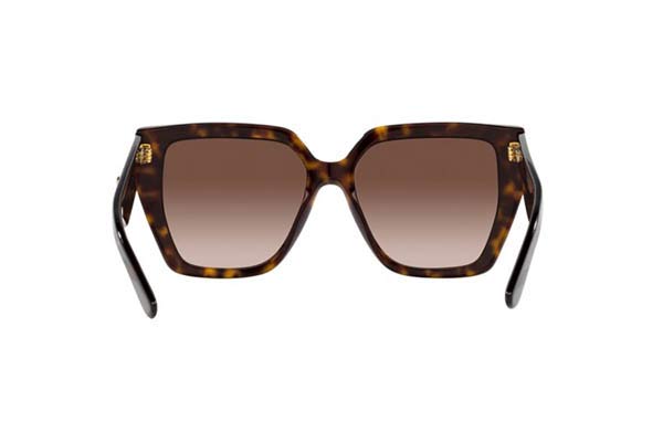 DOLCE GABBANA 4438 Occhiali da Sole 