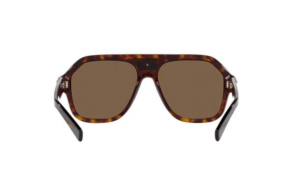 DOLCE GABBANA 4433 Occhiali da Sole 