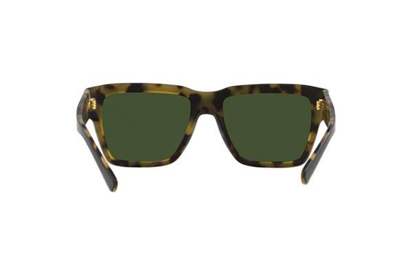 DOLCE GABBANA 4431 Occhiali da Sole 