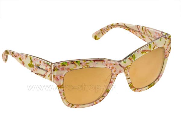 dolce gabbana 4231 Occhiali da Sole 