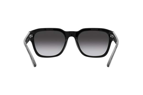 EMPORIO ARMANI 4175 Occhiali da Sole 