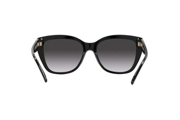 EMPORIO ARMANI 4198 Occhiali da Sole 