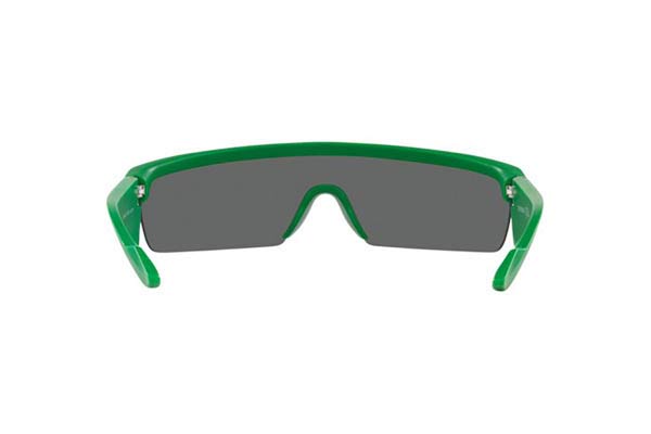 EMPORIO ARMANI 4204U Occhiali da Sole 