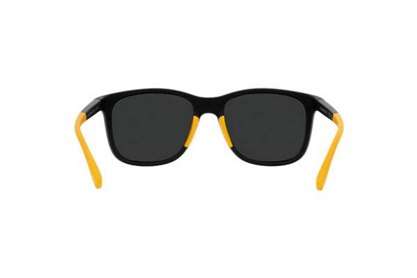 EMPORIO ARMANI 4184 Occhiali da Sole 
