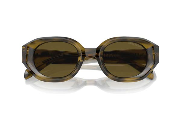 EMPORIO ARMANI 4230U Occhiali da Sole 