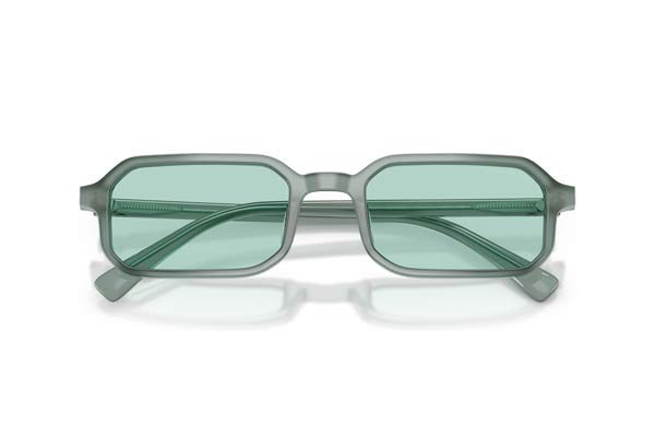 EMPORIO ARMANI 4253U Occhiali da Sole 