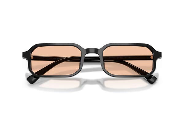 EMPORIO ARMANI 4253U Occhiali da Sole 