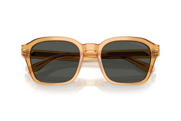 EMPORIO ARMANI 4245U Occhiali da Sole 