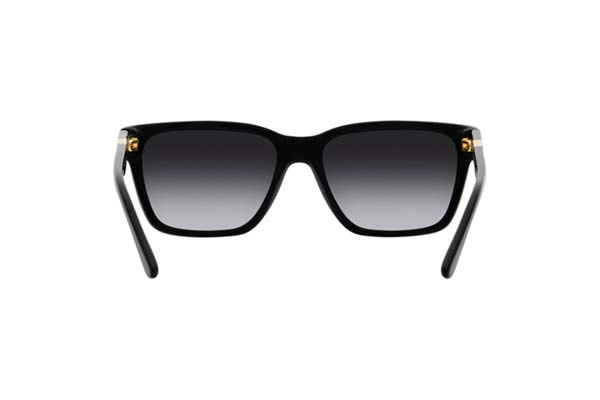 EMPORIO ARMANI 4177 Occhiali da Sole 