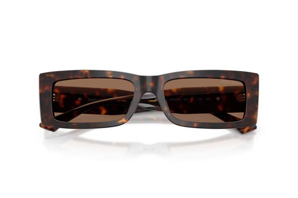 JIMMY CHOO 5040U Occhiali da Sole 