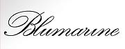 bluemarine pagina