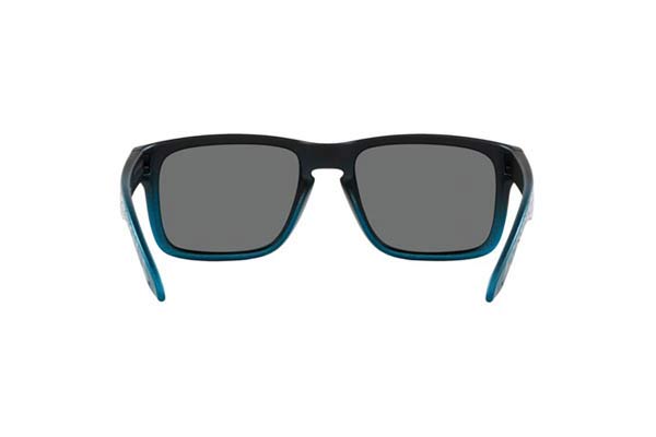 OAKLEY HOLBROOK 9102 Occhiali da Sole 