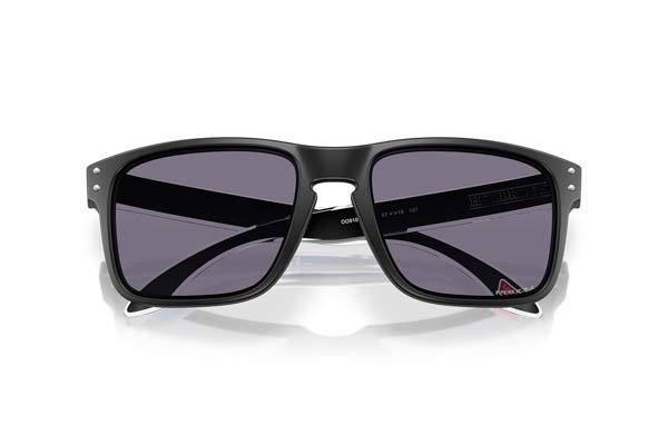 OAKLEY 9102 HOLBROOK Occhiali da Sole 