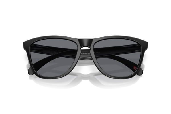 OAKLEY 9013 FROGSKINS Occhiali da Sole 