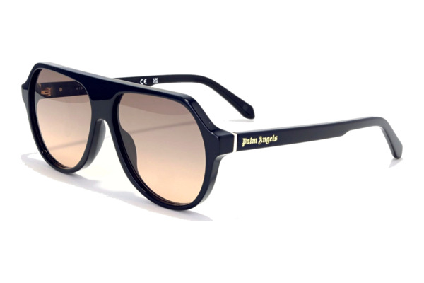 PALM ANGELS PA1026 Kelso Occhiali da Sole 