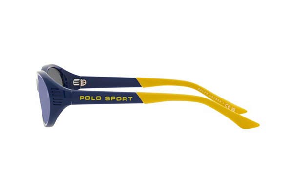 POLO RALPH LAUREN 4197U Occhiali da Sole 