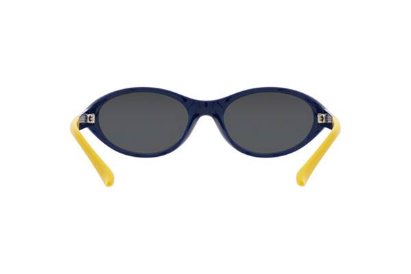 POLO RALPH LAUREN 4197U Occhiali da Sole 