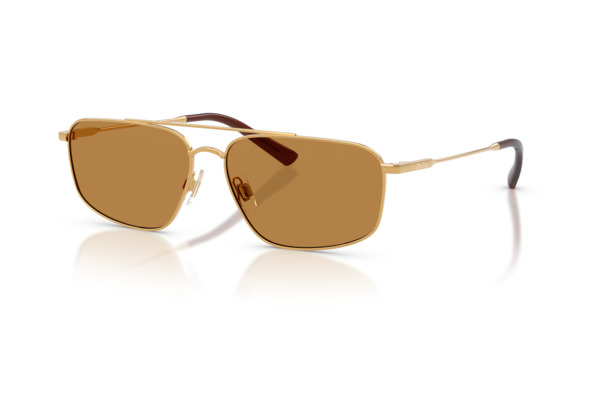 POLO RALPH LAUREN 3164 Occhiali da Sole 