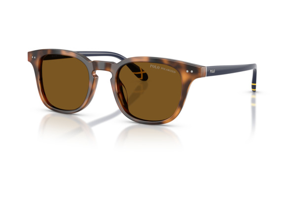 POLO RALPH LAUREN 4251U Occhiali da Sole 