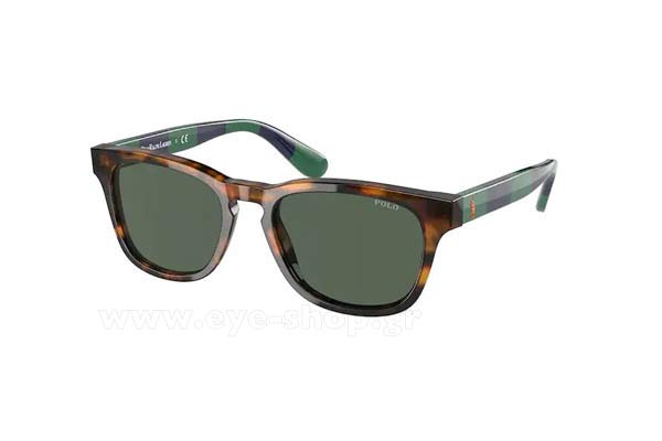 polo ralph lauren 9503 Occhiali da Sole 