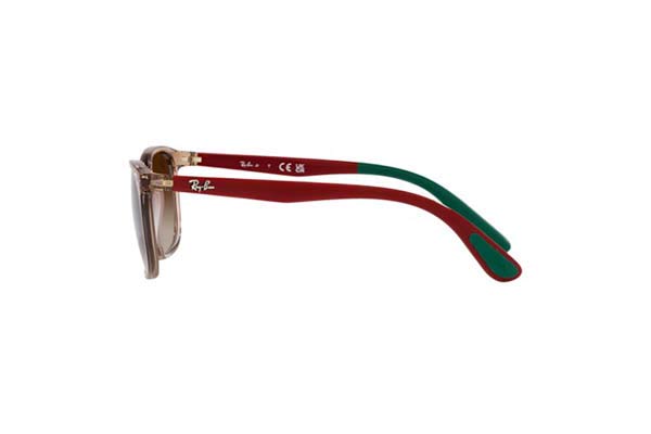 RAYBAN JUNIOR 9076S Occhiali da Sole 