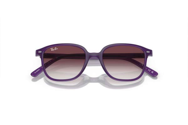 RAYBAN JUNIOR 9093S JUNIOR LEONARD Occhiali da Sole 