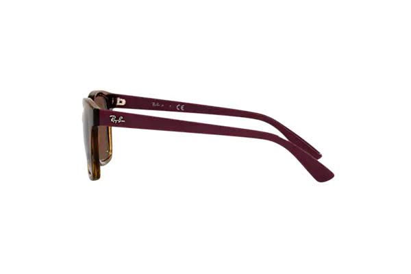RAYBAN JUNIOR 9071S Occhiali da Sole 