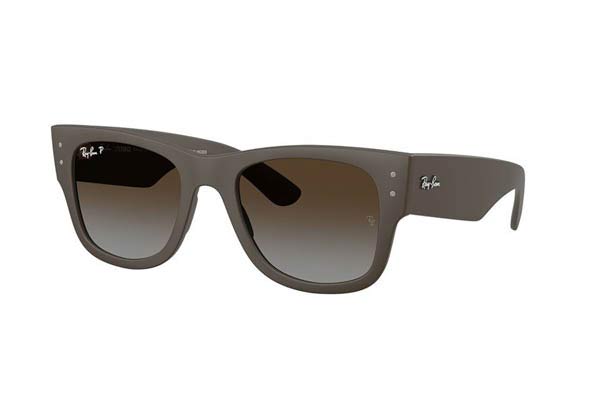 RAYBAN 4840S Occhiali da Sole 