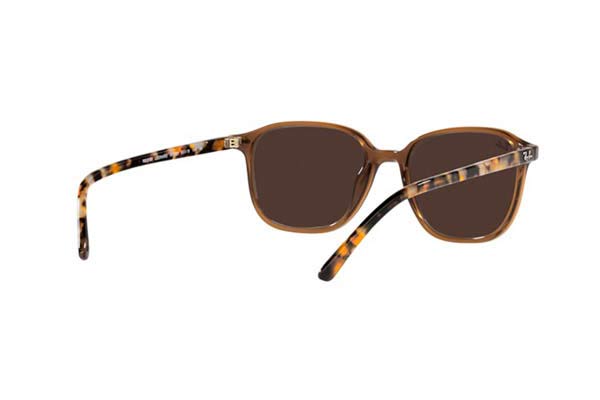 RAYBAN 2193 LEONARD Occhiali da Sole 