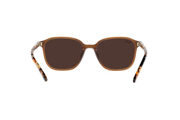RAYBAN 2193 LEONARD Occhiali da Sole 