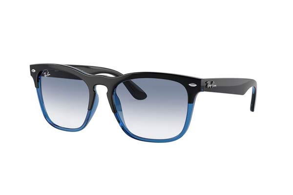 rayban 4487 STEVE Occhiali da Sole 