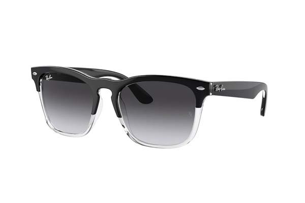 rayban 4487 STEVE Occhiali da Sole 