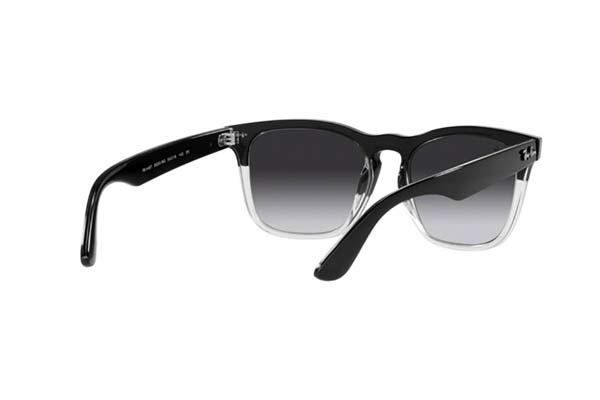 RAYBAN 4487 STEVE Occhiali da Sole 