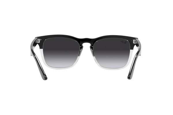 RAYBAN 4487 STEVE Occhiali da Sole 