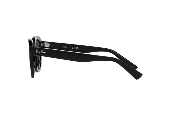 RAYBAN 4398 ERIK Occhiali da Sole 
